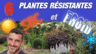 PLANTES VIVACES RESISTANTES au SEC et au FROID [upl. by Pugh420]