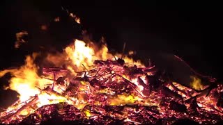 1 Hour Roaring Fire with Relaxing Sounds asmr [upl. by Ettelloc]