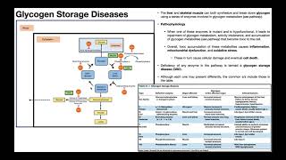 Glycogen Storage Diseases  Pathophysiology amp Presentation [upl. by Pompei]