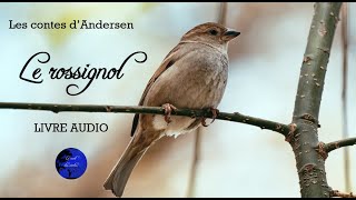 Le rossignol  Les contes dAndersen Livre Audio [upl. by Acirahs974]