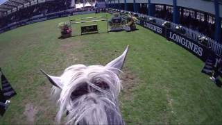 Cambox ISIS  caméra embarquée avec Luca Maria MONETA – Grand Prix LonginesVille de la Baule 2016 [upl. by Ahso]