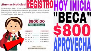 ☝️HOY SALIO 800🎯 BECA APROVECHAMIENTO TIENES BUEN PROMEDIO🥊 SOLICITA AQUÍ HIJOS E HIJAS REGISTRO🤑 [upl. by Nirtiac551]