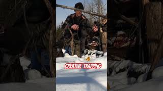 Trapping Coyotes A Creative Set That Produces trapping trappingcoyotes [upl. by Syman885]