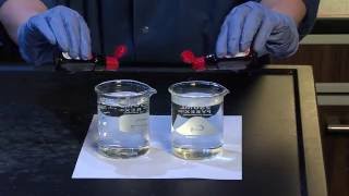 Diffusion and Osmosis  For Teachers [upl. by Ahsenat]