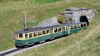 WengernAlpBahn im Sommer 2014  Güterzüge und alte Triebwagen [upl. by Letty]