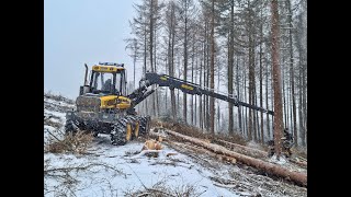 🌲Ponsse Ergo amp SNOW • Ponsse logging • HarvesterAction • Forestmachine • Alterauge • big trees🌲 [upl. by Monro891]