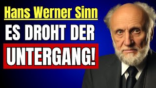 Ein Sturm des Unheils braut sich zusammen Hans Werner Sinn [upl. by Ecinrahs]