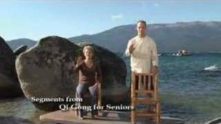 Qi Gong for Seniors with Lee Holden [upl. by Jaclin]