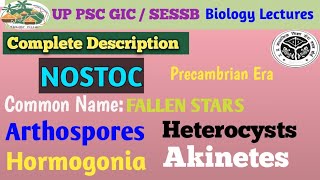 NOSTOC A CYANOBACTERIABGA Structure Life Cycle [upl. by Noir]