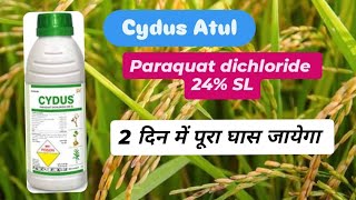 Hpm All Clear Herbicide  Paraquat Dichloride 24 sl  short [upl. by Oeak]