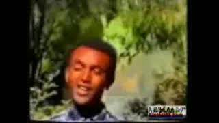 Yehdego Gebremedhin Best Songs ክትሰምዖ ደስ ዘብል 12 ብሉጻት ናይ ይሕደጎ ገ መድህን ስርሓት Official Music Video 2023 [upl. by Dranyam617]