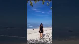 panglao white beach [upl. by Orthman399]