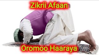 Zikrii Afaan Oromoo Haaraya  Nashiidaa Afaan Oromo 2023 [upl. by Perkin]