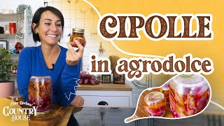 Come preparare le cipolle in agrodolce  Erica Liverani [upl. by Aniat]