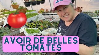 Comment avoir de belles tomates Partie 2  Compilation horticole [upl. by Draned]