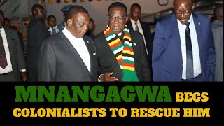 Mnangagwa BEGS Colonialists to RESCUE His Government  Chamisa  Chiwenga [upl. by Maurine]