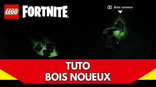 LEGO Fortnite Tuto FR  Bois Noueux où en trouver [upl. by Zelig]