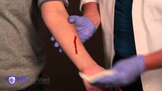 How to Stop Bleeding and Apply Bandages [upl. by Magbie887]