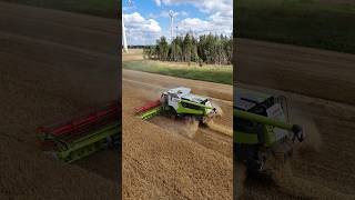 CLAAS LEXION 8700TT mit ein CLAAS CONVIO 1080 Schneidwerk [upl. by Loresz]