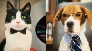 Como perros y Gatos  Trailer 1 [upl. by Reichel]