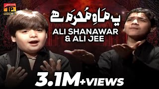 Yeh Mah E Muharram HaiAli Shanawar amp Ali jee 2013 14 [upl. by Girardi]