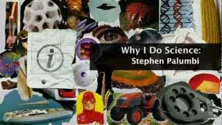 Why I Do Science Stephen Palumbi  KQED QUEST [upl. by Yecam]