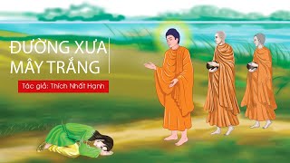 Không Sinh Không Diệt Đừng Sợ Hãi Rất Hay  Thiền Sư THÍCH NHẤT HẠNH PPUD [upl. by Llenrrad]