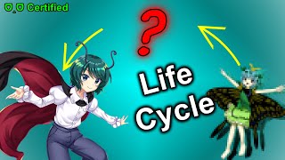 Touhou Wriggle Nightbug Life Cycle [upl. by Weston]