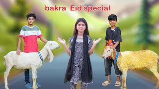 Bakra eid special   Funny  Moral Story  MoonVines [upl. by Undis]