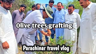 پاراچنار کو ہر سال اربوں روپے کا نقصان  Parachinar travel vlog [upl. by Denton]