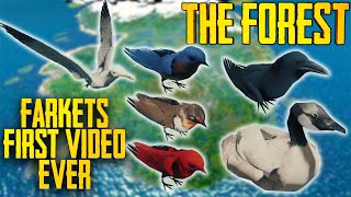 Farkets Very First Video  How To Get Feathers REUPLOAD  The Forest [upl. by Krahling899]