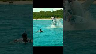 A Great White Shark Attacked and Ate two surfers 😱🫣 shorts viral [upl. by Iruy]