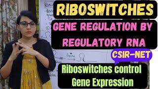 Riboswitches  Regulation of Gene Expression by Riboswitches  Regulatory RNA [upl. by Ynattir543]