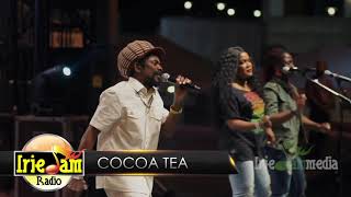 Cocoa Tea quotLivequot  Reggae Under The Stars NYC  Labor Day Weekend 2017 [upl. by Ojaras]