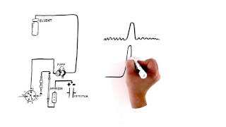 An Introduction to Ion Chromatography [upl. by Ainosal]