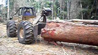 Skidder logging a large tree in a tropical forest rain forest [upl. by Jard]