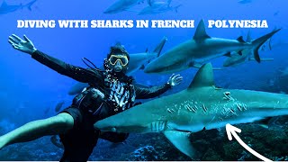 Diving with hundreds of sharks in the Tuamotu islands 😲  Episode 233 [upl. by Sitelc504]