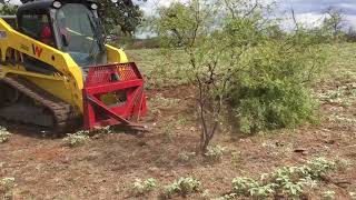 Skid Steer with GRUB N GRADE grubber attachment [upl. by Noynek519]