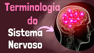 TERMINOLOGIA SISTEMA NERVOSO [upl. by Lynsey]