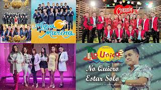 MIX CUMBIAS PERUANA 2023 🎧 CORAZÓN SERRANO AGUA MARINA LA UNICA TROPICAL  CUMBIAS DE ORO 2023 [upl. by Aramois]