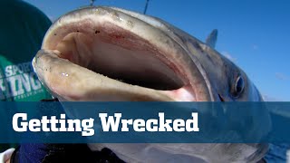 Wreck Fishing Snapper Grouper  Florida Sport Fishing TV  Best Bait tackle Rigs Location [upl. by Dode]