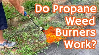 We Tried a PROPANE WEED BURNER To Get Rid of NUISANCE PLANTS  It Wasnt As Great As We Hoped [upl. by Aemat]