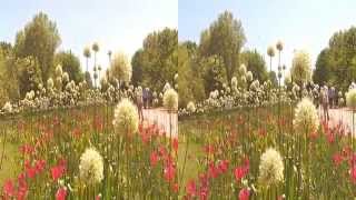 3D Britzer Garten Berlin Pfingsten 2015 [upl. by Avlem]