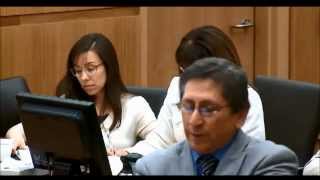 Jodi Arias Trial  Day 36  Prosecutor Vs Shrink Again  Part 1 No Sidebars [upl. by Neumeyer305]