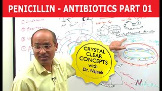 Penicillin  Antibiotics  Dr Najeeb  Part 14 [upl. by Cobbie87]