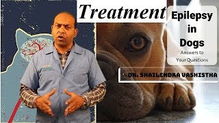 In Depth  Treatment for Epilepsy in Dogs VET For PET [upl. by Soracco]