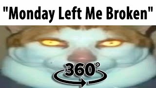 The Monday Left Me Broken Cat Finding Challenge 360º VR Video [upl. by Buck847]