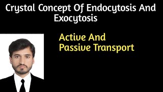 Endocytosis and exocytosis  Active and passive transport physiology [upl. by Cirre]