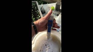 Powdery mildew treatment 1 [upl. by Adnaluoy291]