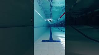 Freestyle swimming 🏊‍♂️ front view under water [upl. by Kikelia]